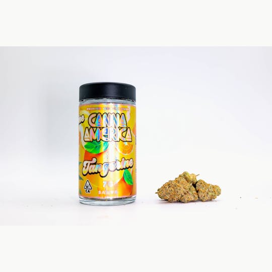 Canna America - Tangerine - 7g - 1