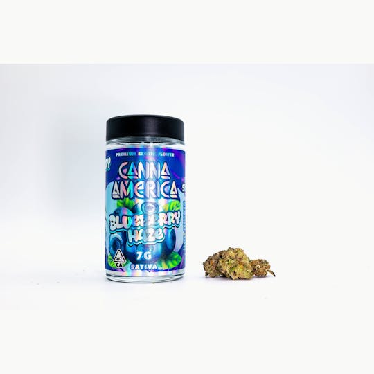 Canna America - Blueberry Haze - 7g - 1