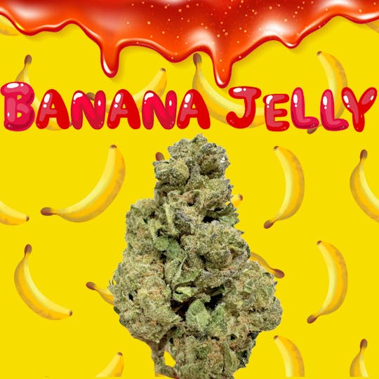 SUPPLY LA - Banana Jelly | Sun Grown Flower | Limited Drop | 3.5g | Eighth - 1