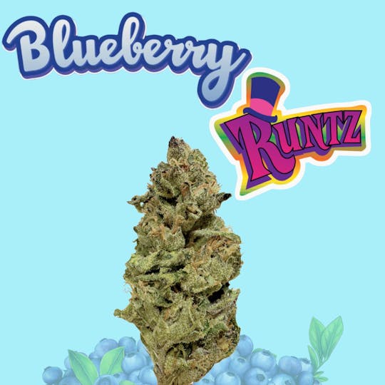 SUPPLY LA - Blueberry Runtz | Premium Flower | Limited Drop | 28g | Ounce - 1