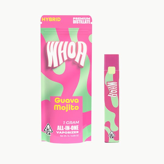 Whoa - Guava Mojito All In One 1G Vape - 1