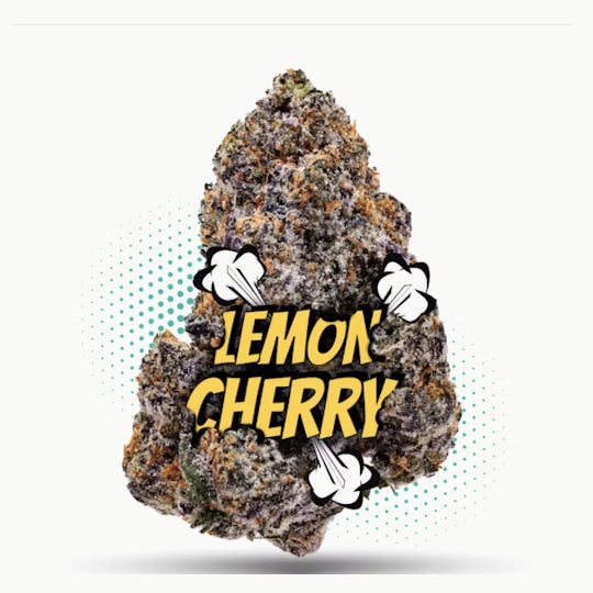 Frostiez - Lemon Cherry Gelato - PREMIUM FLOWER - Hybrid - 1