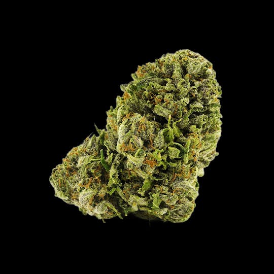 Auraz - Caleta Flower | Cherry Stomper - 1
