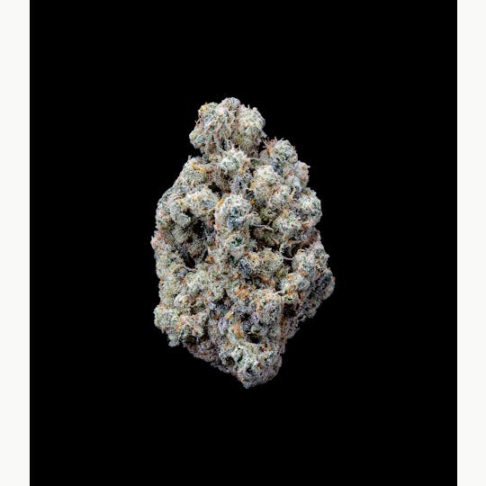 Auraz - Caleta Flower | Crunch Berries - 1