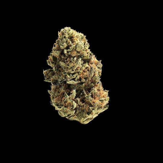 Auraz - Caleta Flower | Gorilla Glue #6 - 1