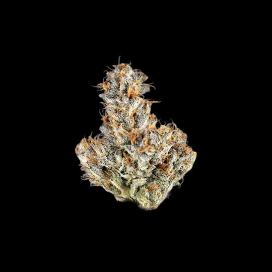 Auraz - Premium Flower | Himothy - 1