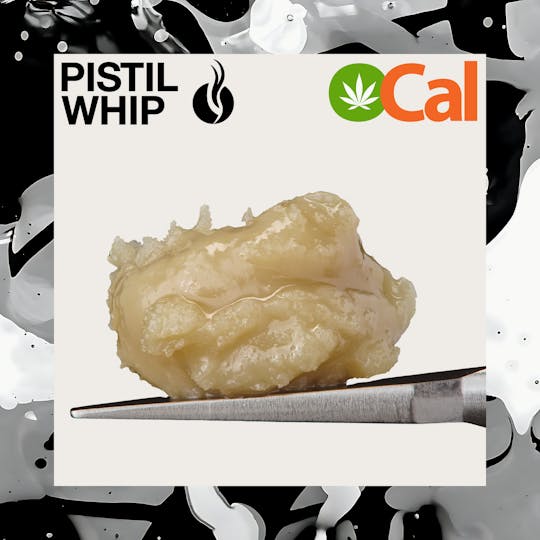 Pistil Whip - Maple Fumez OCal Live Rosin Badder (1g) - 1