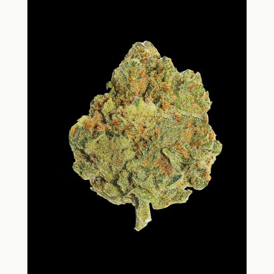 BAM Alaska - Honey Banana .5g - 20 Pack - 1