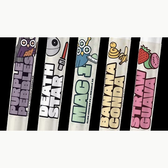 Wise Guys - Wise Guys | Purple Pebbles | Pre Roll | 1G - 1