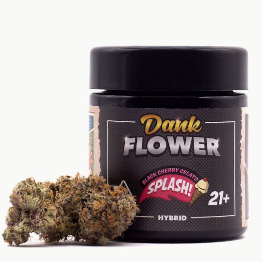 Legion Of Dank - Black Cherry Gelato Splash - 1