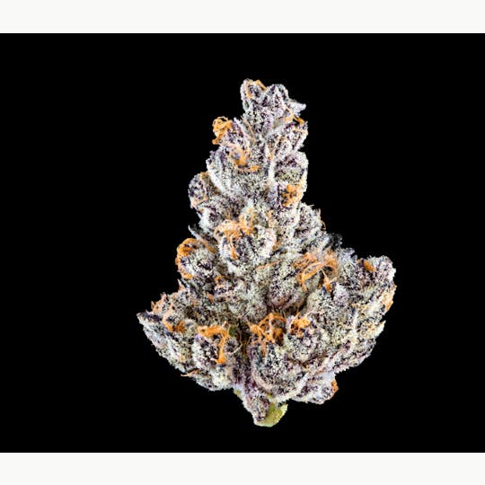 Allure - French Lotus | Exotic Indoor | Hybrid 35.42% THC - 1
