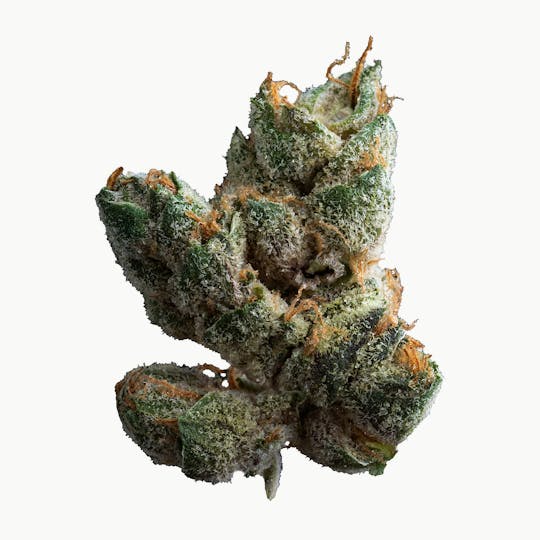 LA Native - Sugar Cookies - Indoor Smalls - 1