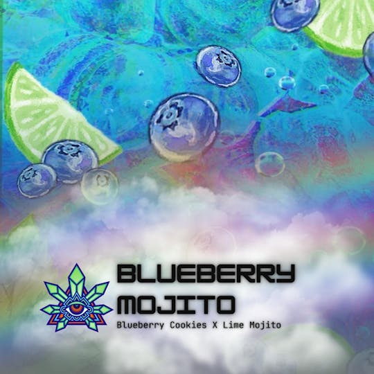 Emerald Visions - Blueberry Mojito - 1g Loose Tobacco Free Blunt - 1
