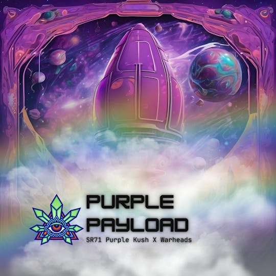 Emerald Visions - Purple Payload - 2 Half Gram Packaged Prerolls - 1