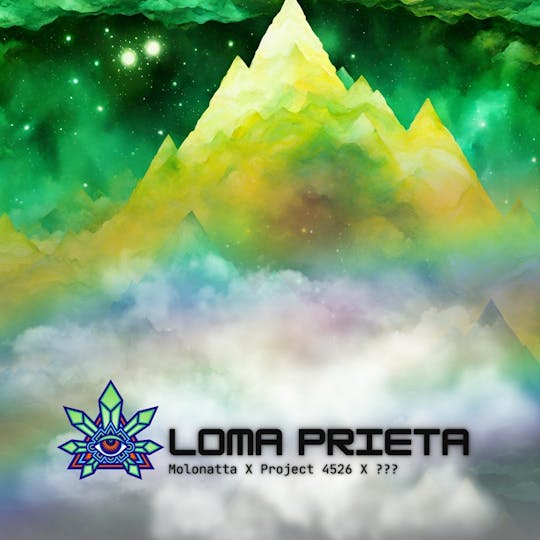 Emerald Visions - Loma Prieta (.5)g Live Resin Cart - 1
