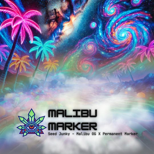 Emerald Visions - Malibu Marker - 1g Packaged Tobacco Free Blunt - 1