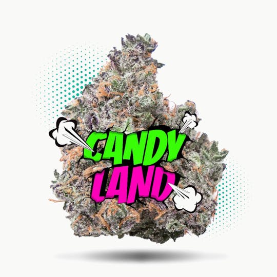 Frostiez - Candy Land Smalls - Topshelf Indoor - New Drop - Hybrid - 1
