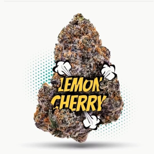 Frostiez - LCG Smalls - Topshelf Indoor - New Drop - Hybrid - 1