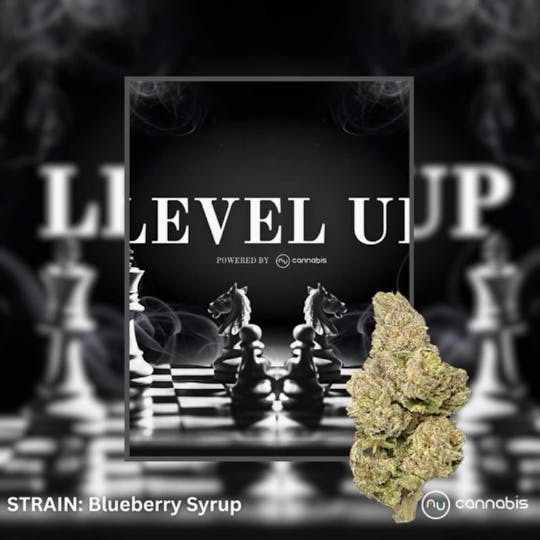 Nu Cannabis Brand - Level Up - Blueberry Syrup 3.5g - PREMIUM FLOWERS - 1
