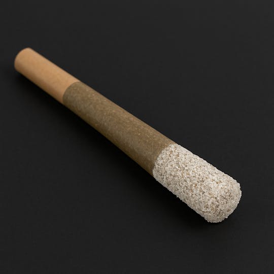 Animal - Crystal Cone - 1
