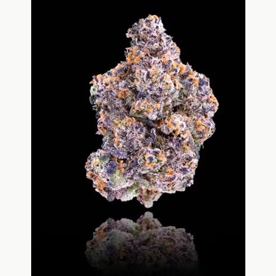 Allure - Blue Agapē x 98 Reserve | Exotic Indoor | Indica 38.58% THC - 1