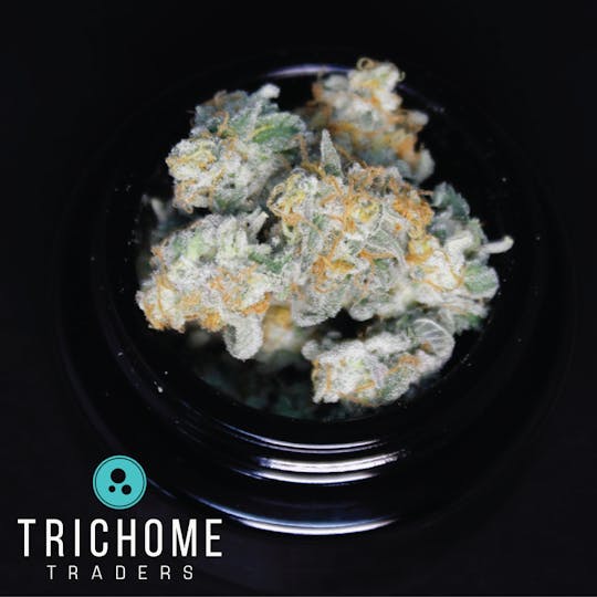 Trichome Traders - MAC Stomper | Small Buds | Trichome Traders - 1