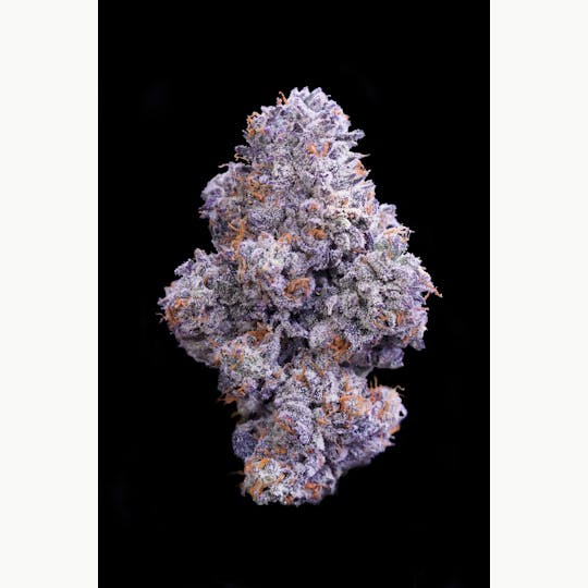 Enlighten - Street Guru Deli Flower - 1