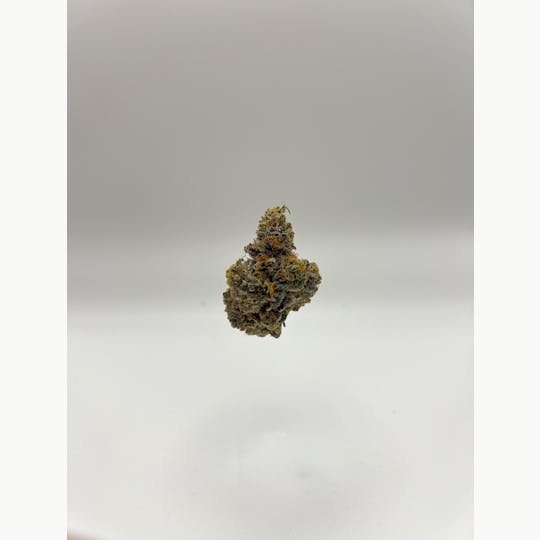 Magic Brothers - Super runtz - Top Shelf Flower - 1