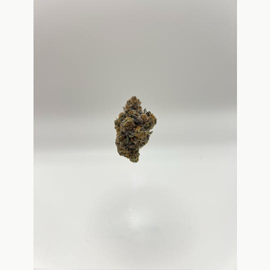 Magic Brothers - Bolo Runtz - Top Shelf Flower - 1