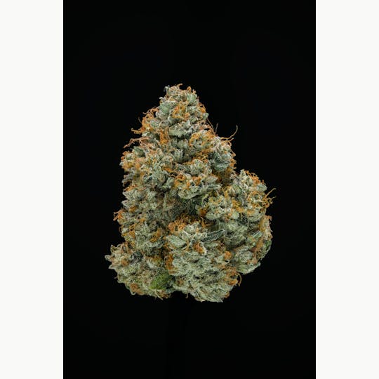 AETHER FIELDS - AREA 54 // PREMIUM INDOOR - 3.5G - 1