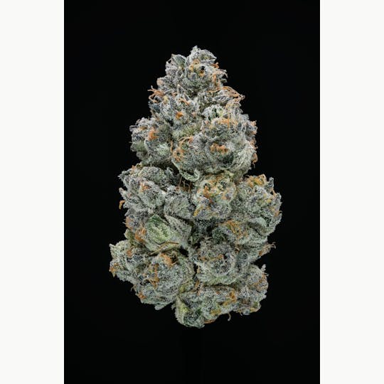 AETHER FIELDS - ZILK // PREMIUM INDOOR - 3.5G - 1