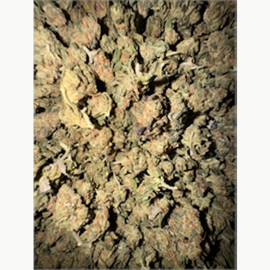 KING WEEDY CANNABIS - Dante's Inferno - 1