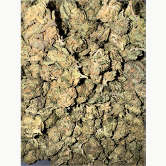 KING WEEDY CANNABIS - King's Reserve - 1