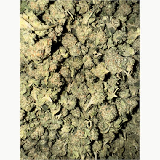 KING WEEDY CANNABIS - OG #18 x Skunk 1 - 1