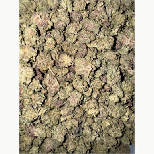 KING WEEDY CANNABIS - Roasted Garlic - 1