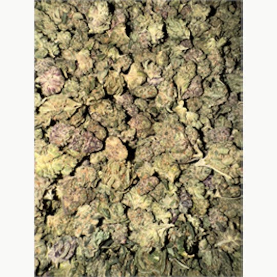 KING WEEDY CANNABIS - Biscuits and Gravy - 1
