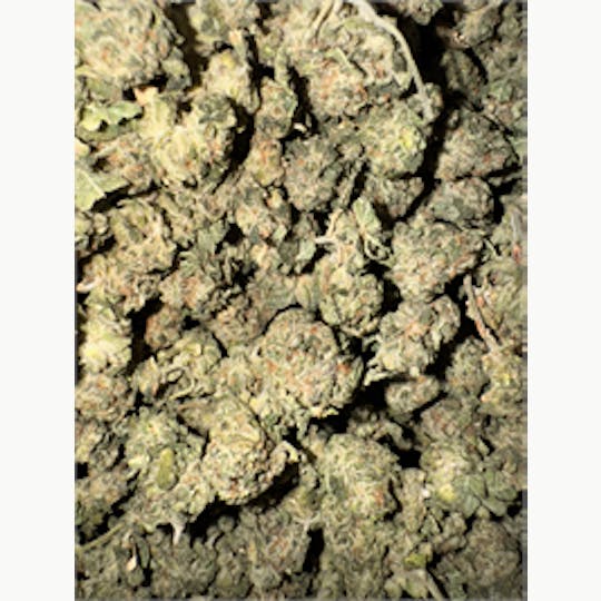 KING WEEDY CANNABIS - Girl Scout Cookies - 1