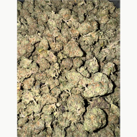 KING WEEDY CANNABIS - Gelato Sorbet - 1