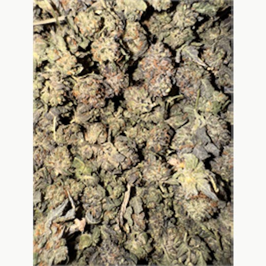 KING WEEDY CANNABIS - Gorilla Glue - 1
