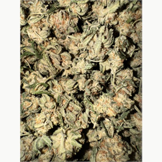 KING WEEDY CANNABIS - Dirty-B - 1