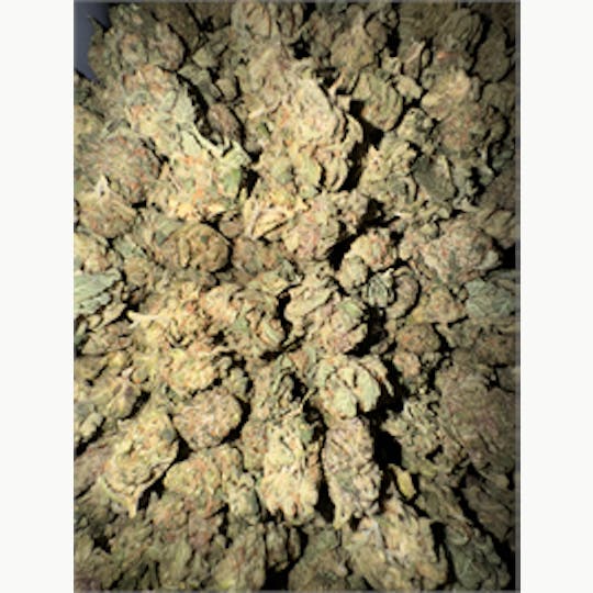 KING WEEDY CANNABIS - Galactic Kush - 1