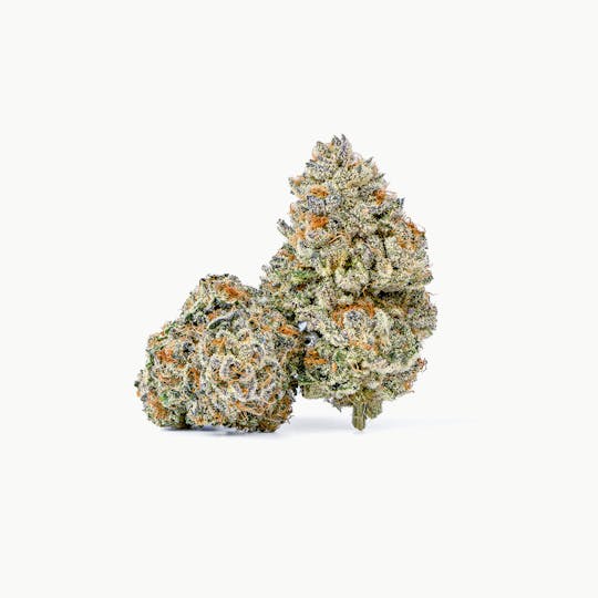 Fire Fresh Farms - Velvet Mints Flower - 1