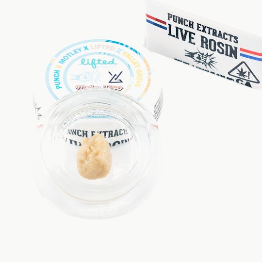 Punch Edibles & Extracts - Pineapple Scoby Tier 4 Live Rosin Cold Cure Badder (1g) - 1