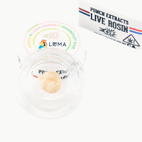 Punch Edibles & Extracts - Lime Star-Burst Tier 1 Live Rosin Cold Cure Badder (1g) - 1