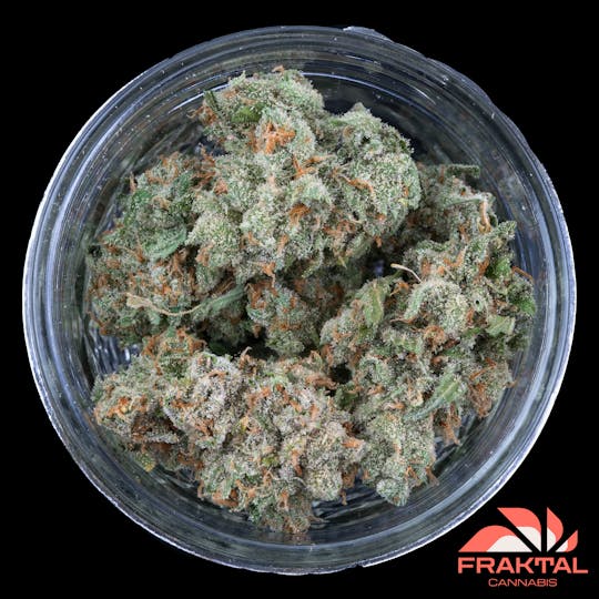 FRAKTAL - FRAKTAL - Jack Herer - 1