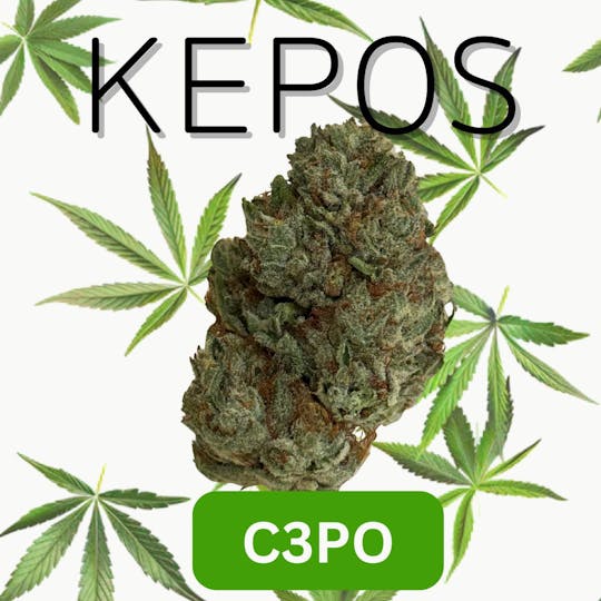 Nu Cannabis Brand - Kepos - CP30 3.5g - PREMIUM FLOWERS - 1