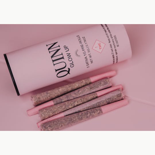 Quinn - Glow Up ☼ 5-Pack - 1