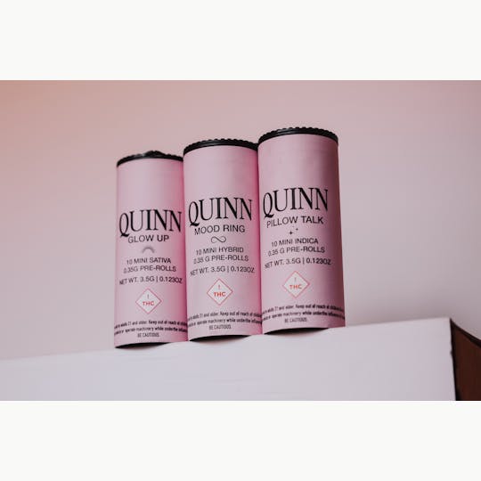Quinn - Glow Up ☼ Minis - 1