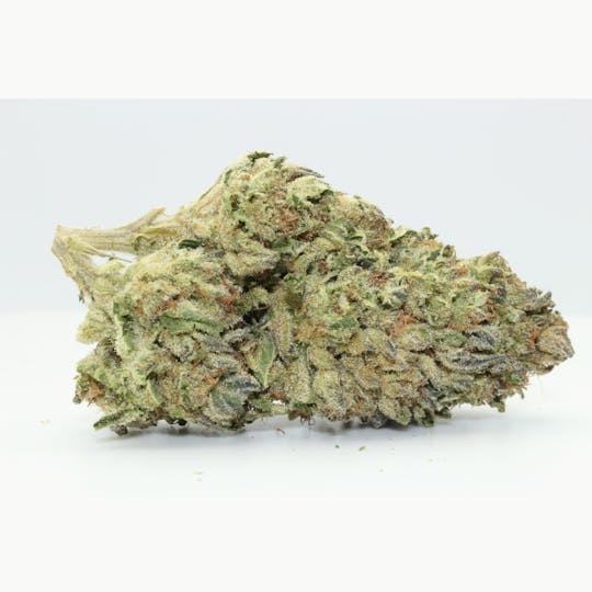 Magic Brothers - Jungle Cake (Hybrid) - Premium Flower - 1/2oz. 14g. - 1