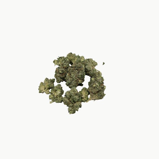 Indico - Cake Pop $100oz - Indico - 1